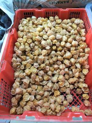 預(yù)包裝食品,蔬菜,水果,肉,魚(yú)零售,預(yù)包裝食品,蔬菜,水果,蔬菜,水果,肉 - 太子河區(qū)客來(lái)悅蔬菜水果超市