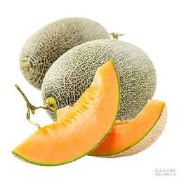 哈密瓜蓉產品綜合指南 價格、型號、圖片及預包裝食品批發與零售服務