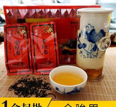 武夷山紅茶金駿眉禮盒裝 J110 優(yōu)質(zhì)預包裝茶葉批發(fā)與零售指南